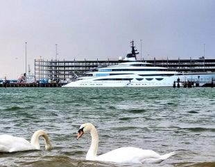 swan-yacht.jpg